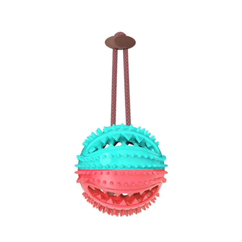 Colorful dog chew toy ball with textured spikes and rope handle for interactive play and dental care