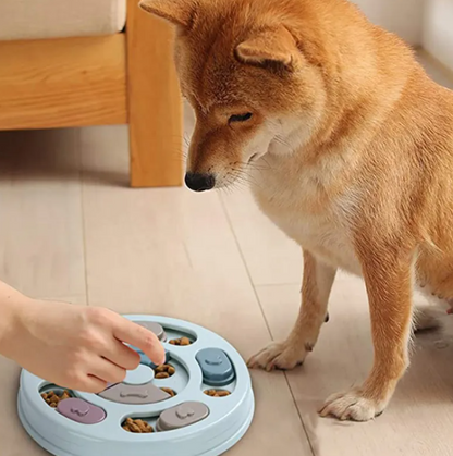 Dog feeding puzzle bowl with sliding lids; pastel sections hold kibble, dog beside bowl