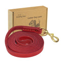 Leather Dog Leash 6ft Dog Leashes for Large Dogs Heavy Duty Soft Handmade Leather Training Leash for Large & Medium Dogs (6ftx3/4inch Red)