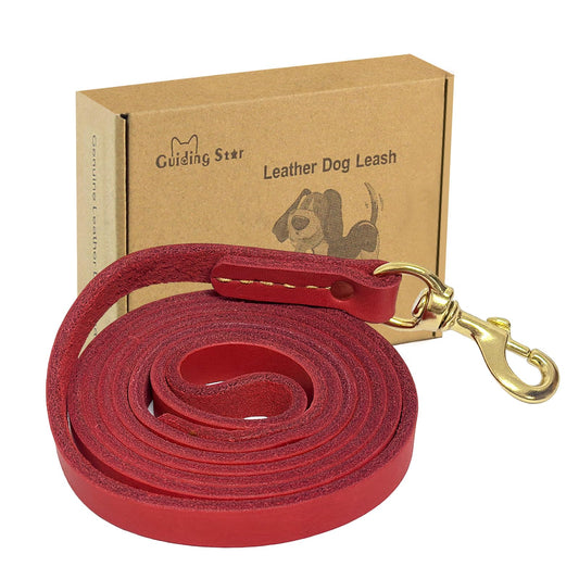 Red leather dog leash with brass clasp, rolled strap and snap hook