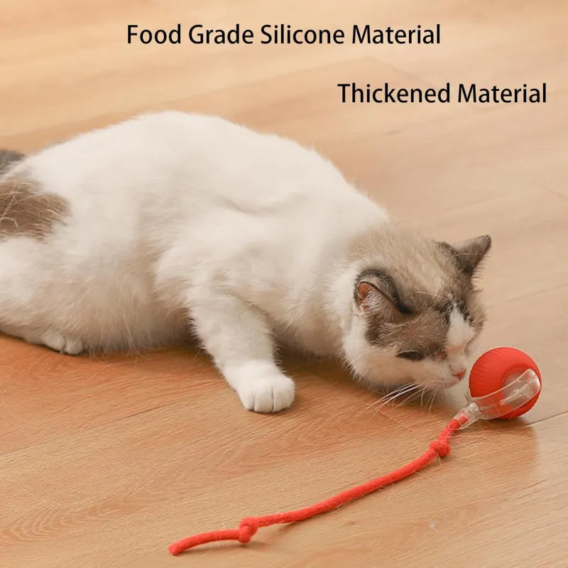Red 360 pet ball toy with red textured cord and small ball head