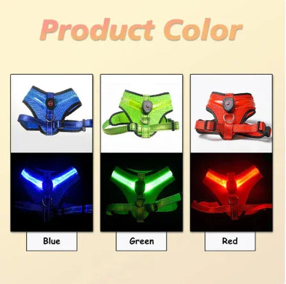 LED dog harness color options: blue, green, red shown with glowing straps