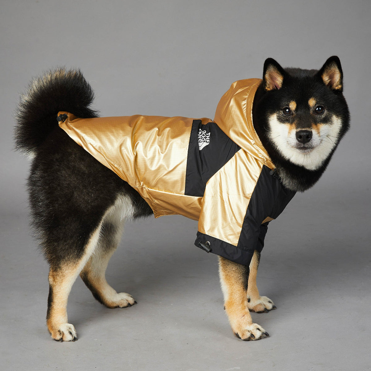 Gold and black dog raincoat jacket with hood, quilted panels, and logo patch