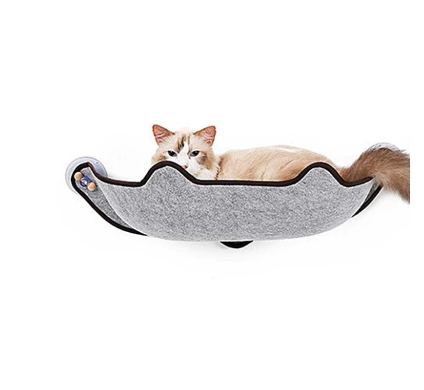 Grey window cat hammock with dark trim and suction cups, with kitten inside