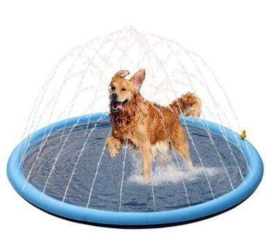 Pet swimming pool with blue inflatable rim and dark mesh floor, small dog splashing