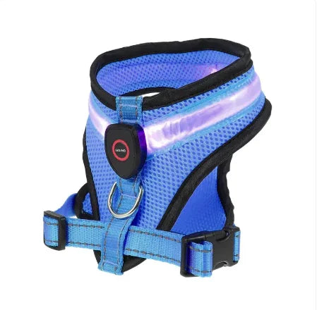 Blue LED dog harness with glowing straps and adjustable front buckles