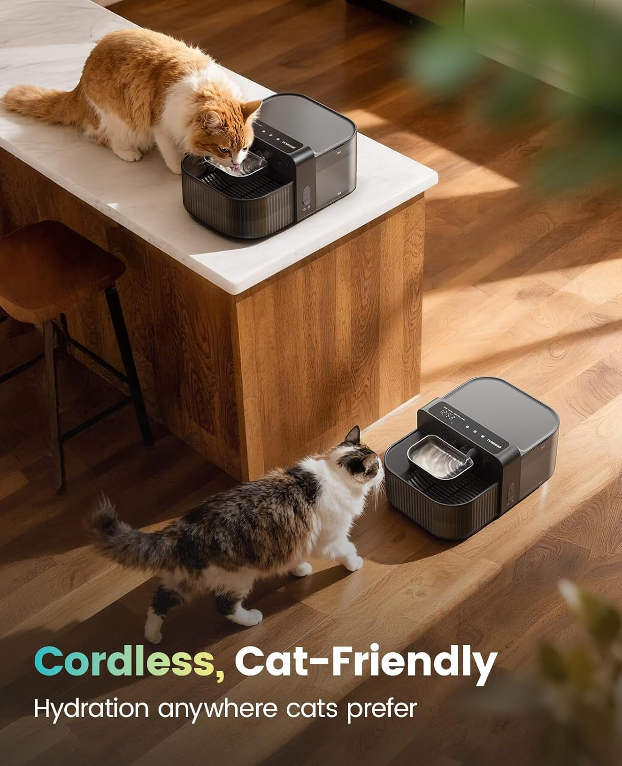 Black cordless cat water fountain with stainless-steel bowl on a tabletop
