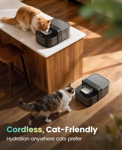Black cordless cat water fountain with stainless-steel bowl on a tabletop