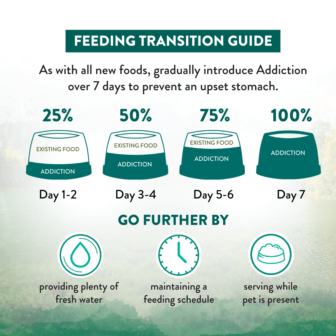 Dry dog food transition guide: introduce gradually over 7 days