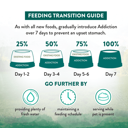Dry dog food transition guide: introduce gradually over 7 days