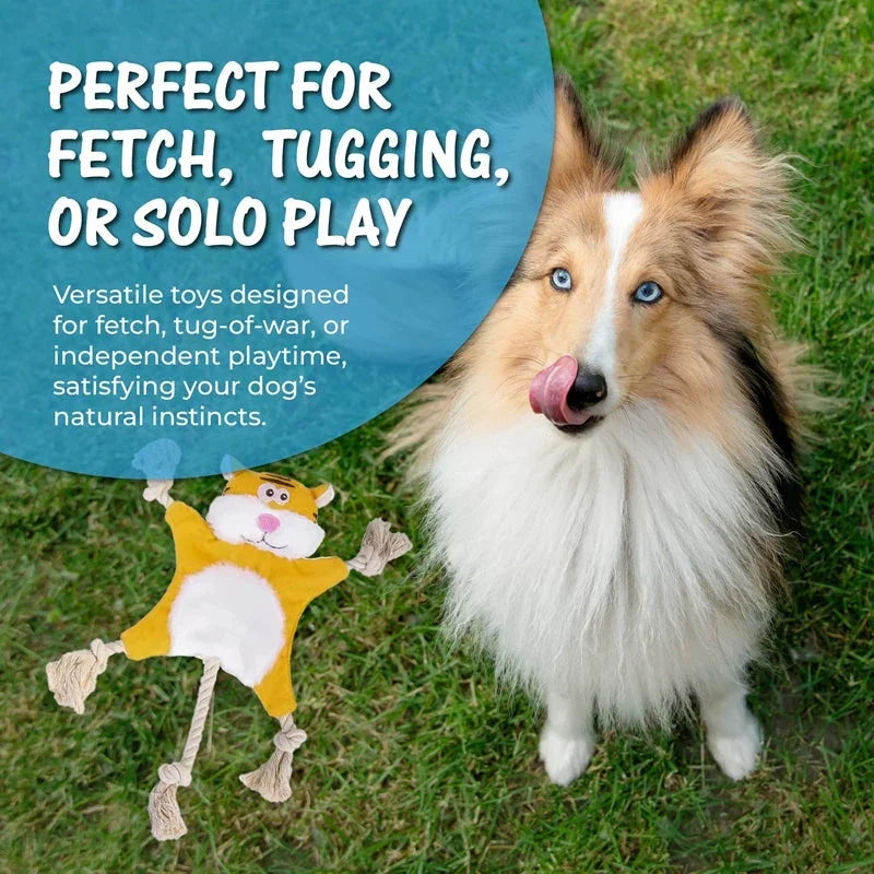 Fluffy dog with blue eyes licking lips beside plush tiger tug toy for fetch or solo play on grass