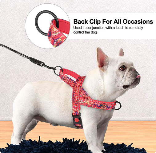 Dog harness in red patterned fabric on a white dog, with black leash ring and clip