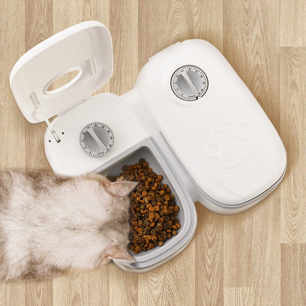Pet feeder with open top and side-by-side bowls filled with dry kibble