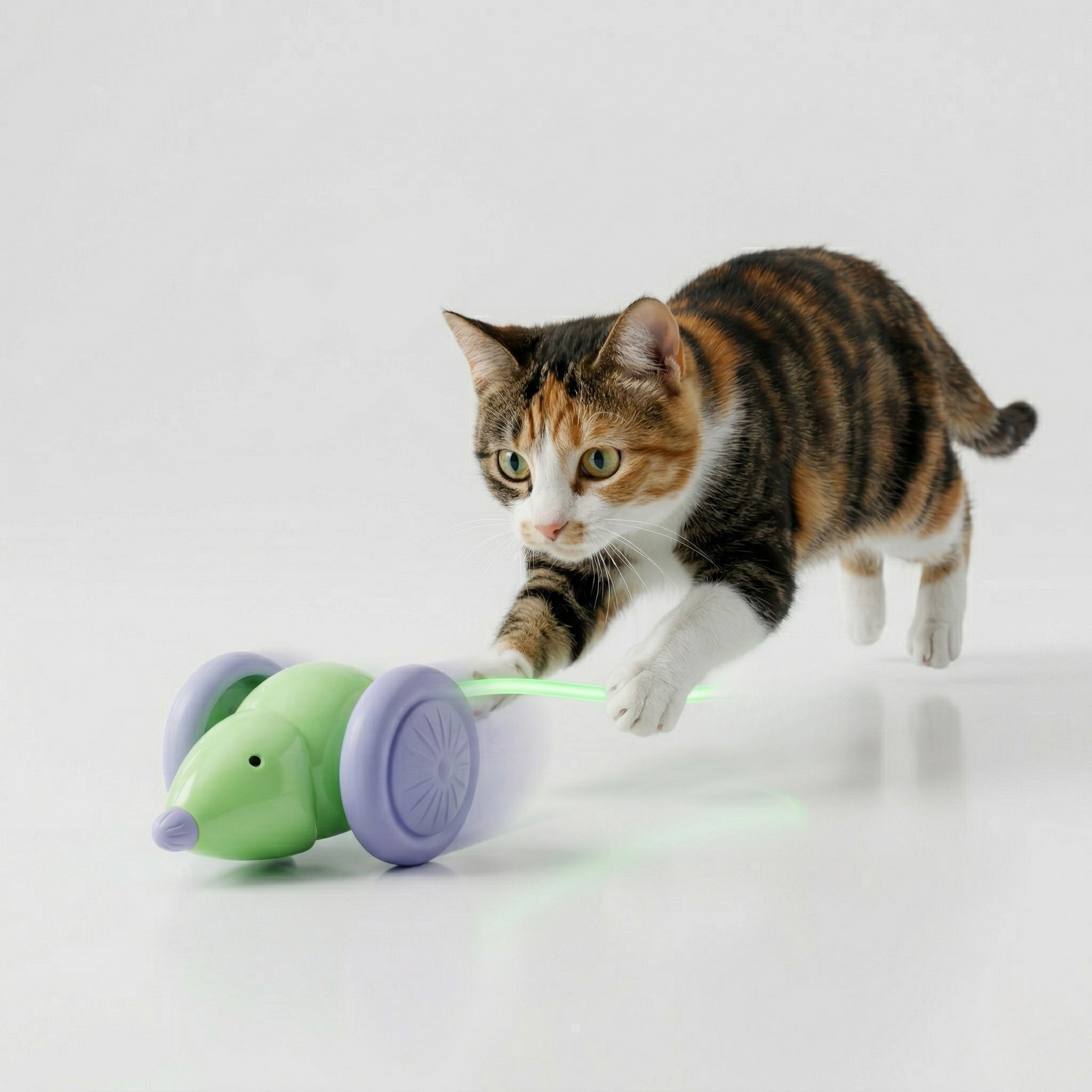 Green cat LED mouse toy with purple wheels and glowing light wand in front of cat