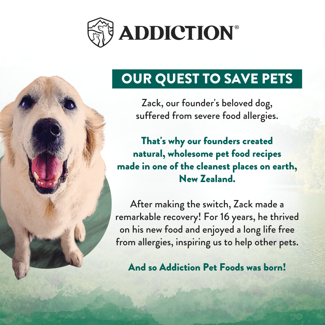 Dry dog food brand story graphic with rescue dog and pet-saving message