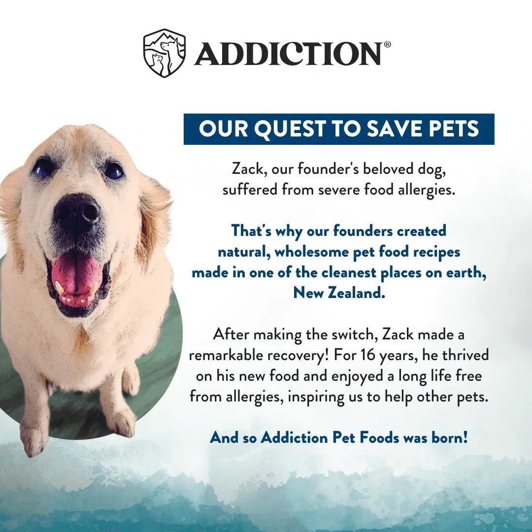 Brand story panel with dog portrait and text about saving pets from founders