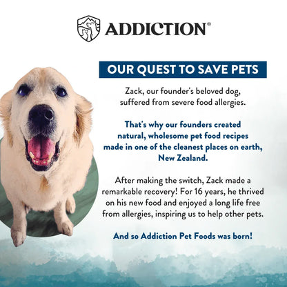 Brand story panel with dog portrait and text about saving pets from founders