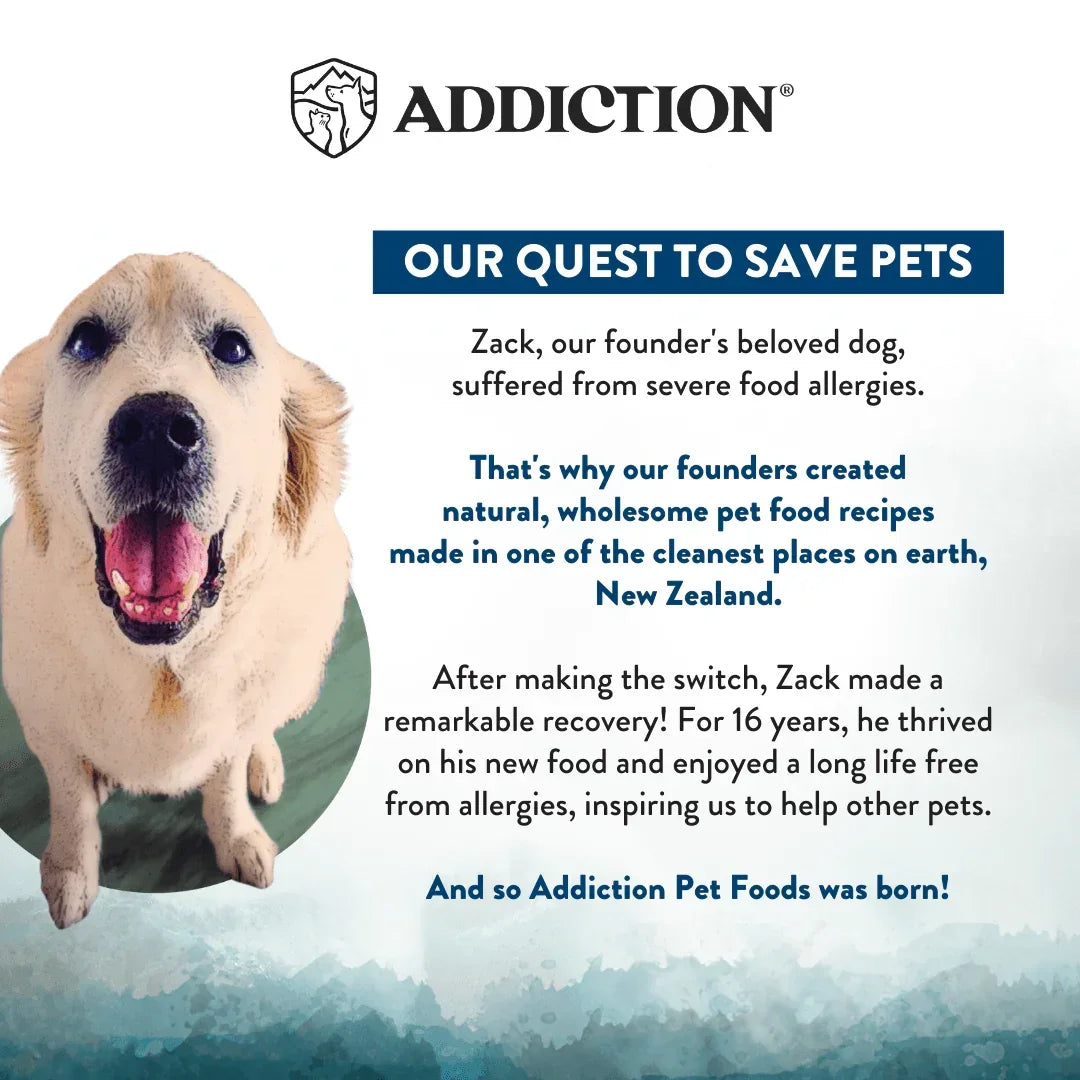 Brand story panel with dog photo and message about saving pets in New Zealand
