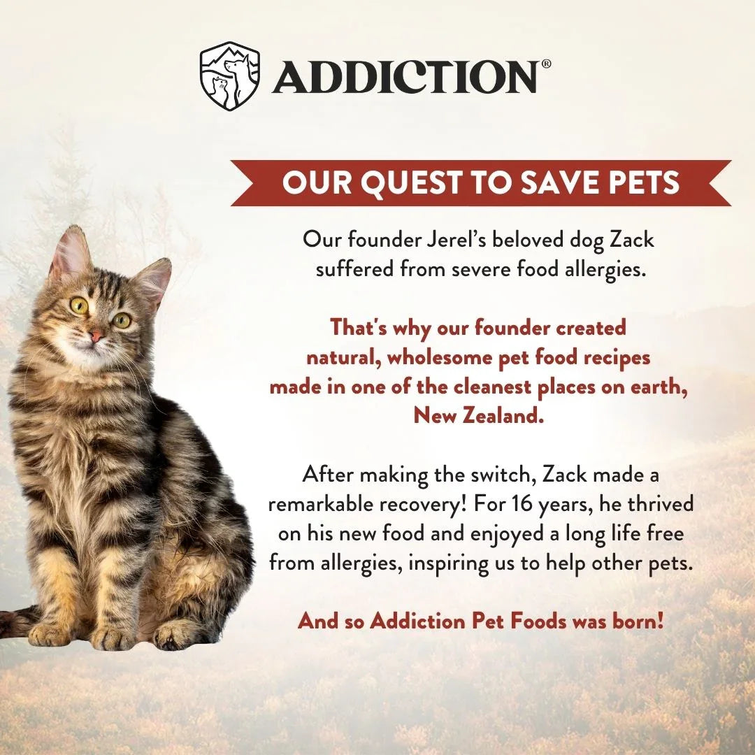 Cat food story panel 'Our quest to save pets' with kitten photo