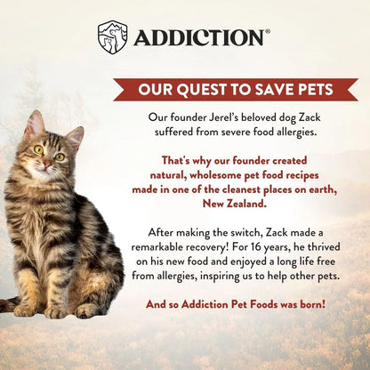 Cat food story panel 'Our quest to save pets' with kitten photo