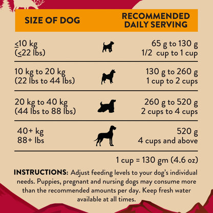 Dog feeding chart by size: daily serving amounts in grams and cups for small, medium, large, and extra-large dogs