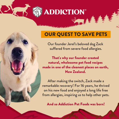 Happy dog Zack, inspiration for Addiction Pet Foods' natural recipes made in New Zealand for allergy relief