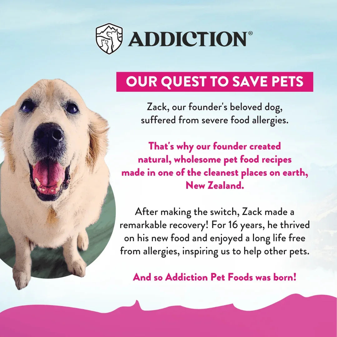Happy dog with natural pet food story from Addiction Pet Foods