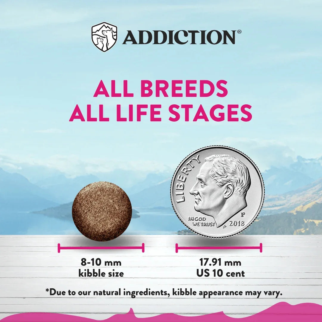 Addiction pet food kibble size comparison with US dime, suitable for all breeds and life stages
