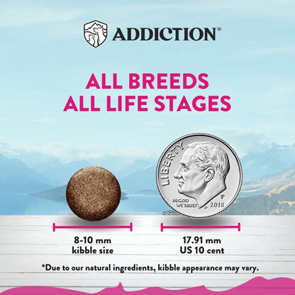 Addiction pet food kibble size comparison with US dime, suitable for all breeds and life stages