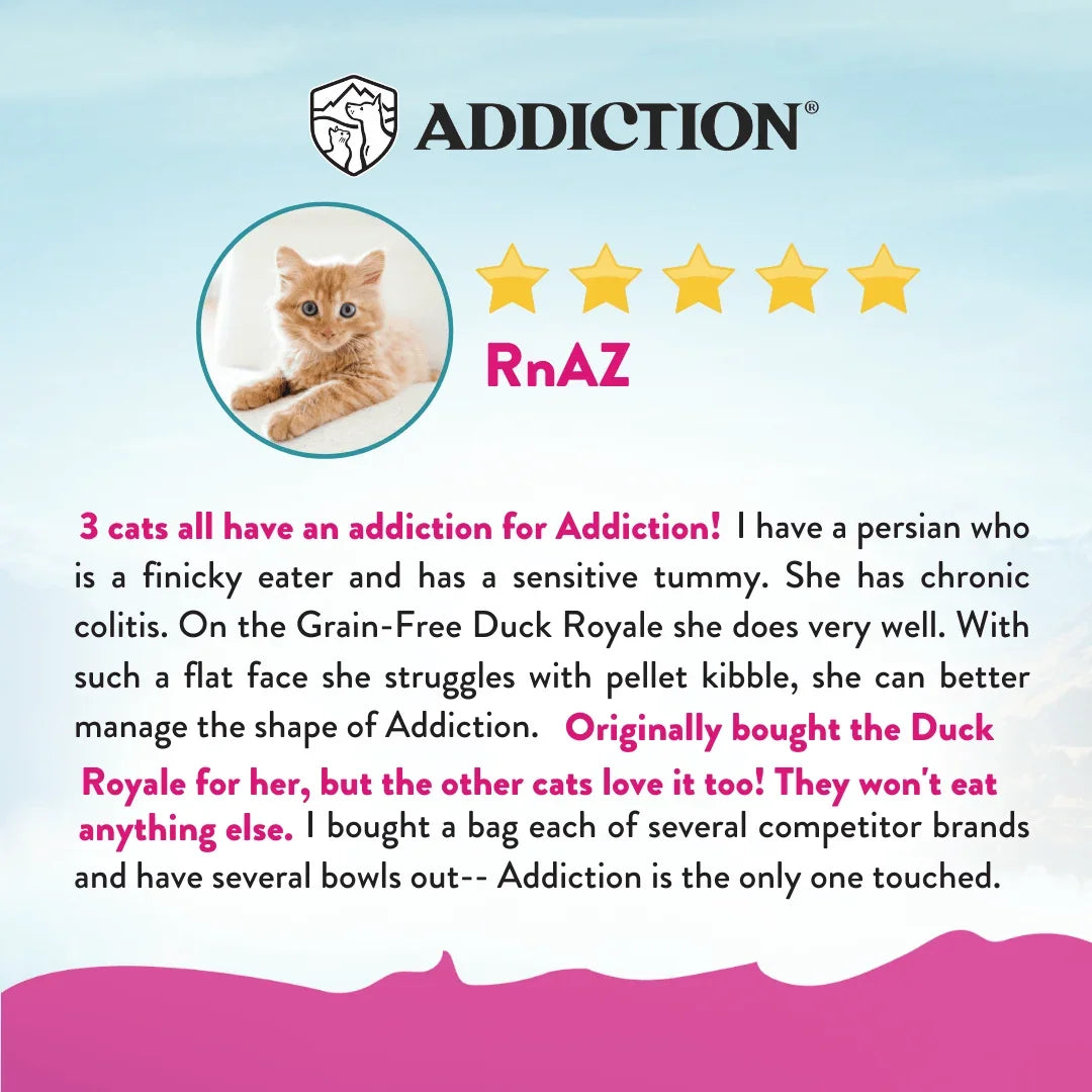 Customer review for Addiction cat food with 5-star rating and happy orange kitten