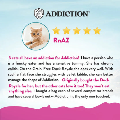 Customer review for Addiction cat food with 5-star rating and happy orange kitten
