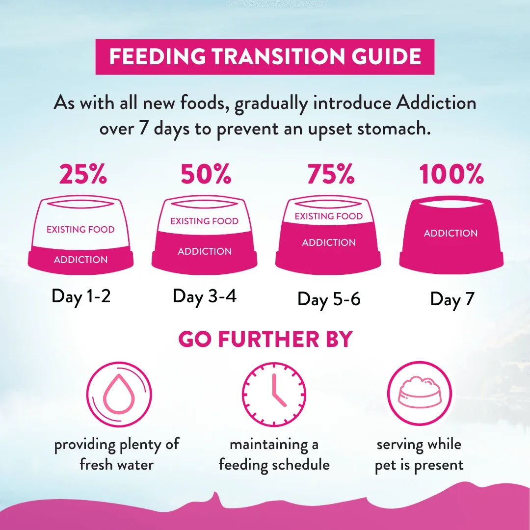 Feeding transition guide for pet food with hydration and schedule tips