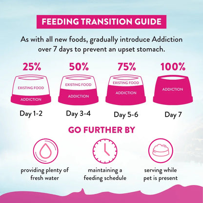 Feeding transition guide for pet food with hydration and schedule tips
