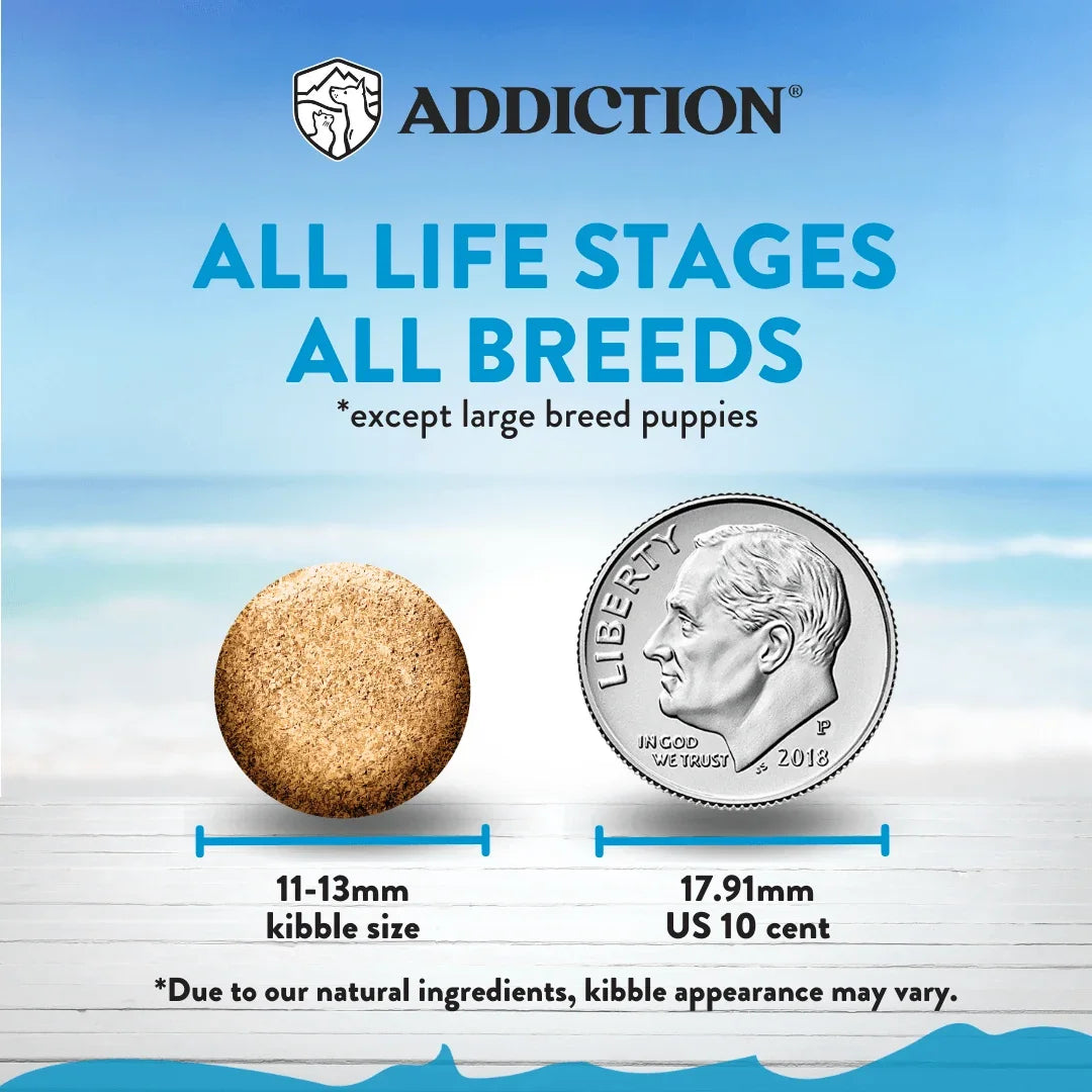 Addiction dog kibble size comparison to US dime, 11-13mm, for all life stages & breeds except large puppies