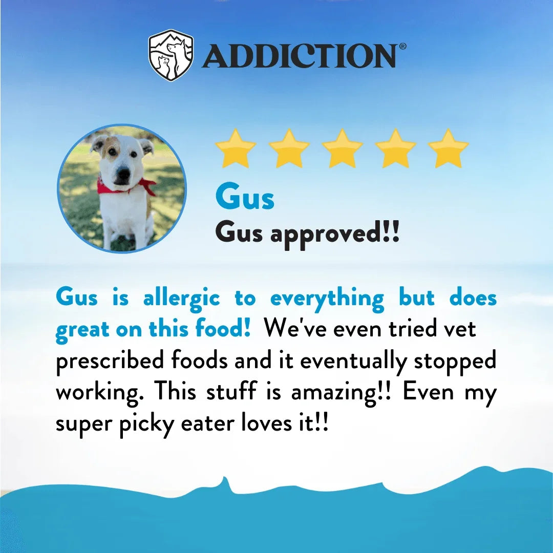 Gus approved pet food review with five stars for allergic dogs