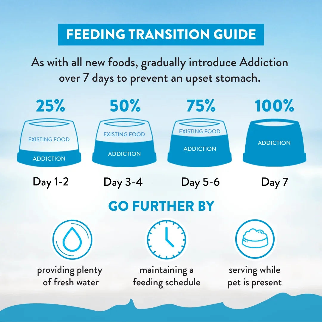 Feeding transition guide for pet food with hydration and schedule tips