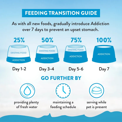 Feeding transition guide for pet food with hydration and schedule tips