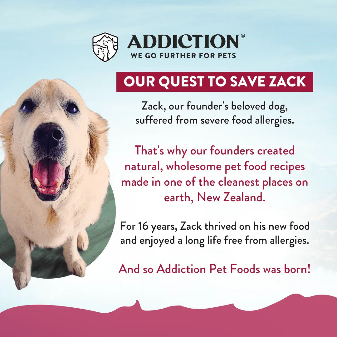 Dog portrait with story panel for Allergy-free nutrition from Addiction Pet Foods