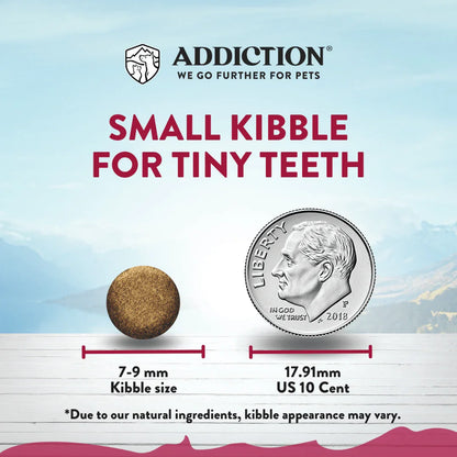 Small kibble size comparison for tiny teeth: 7–9 mm and US penny size