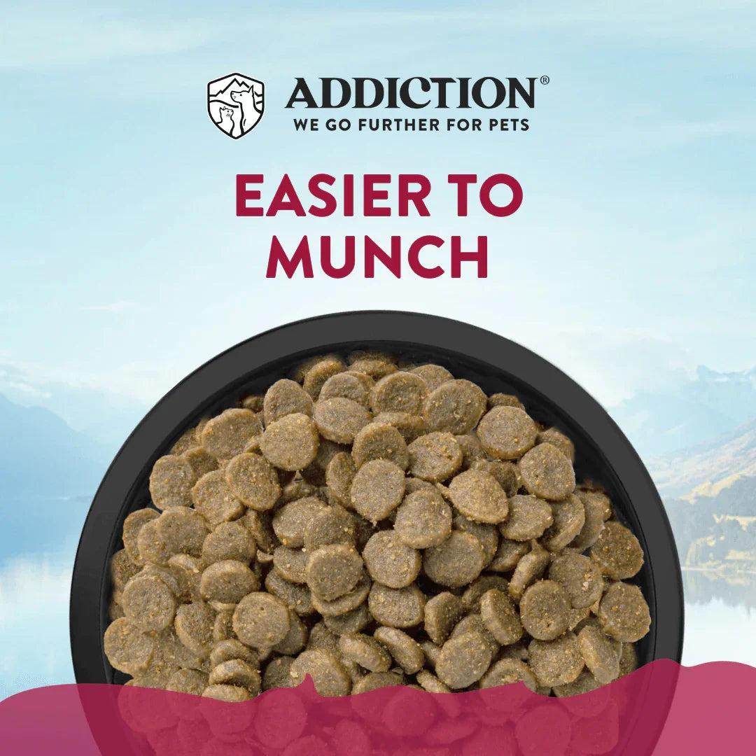 Bowl of small grain-free venison dog kibble pellets for easy munching