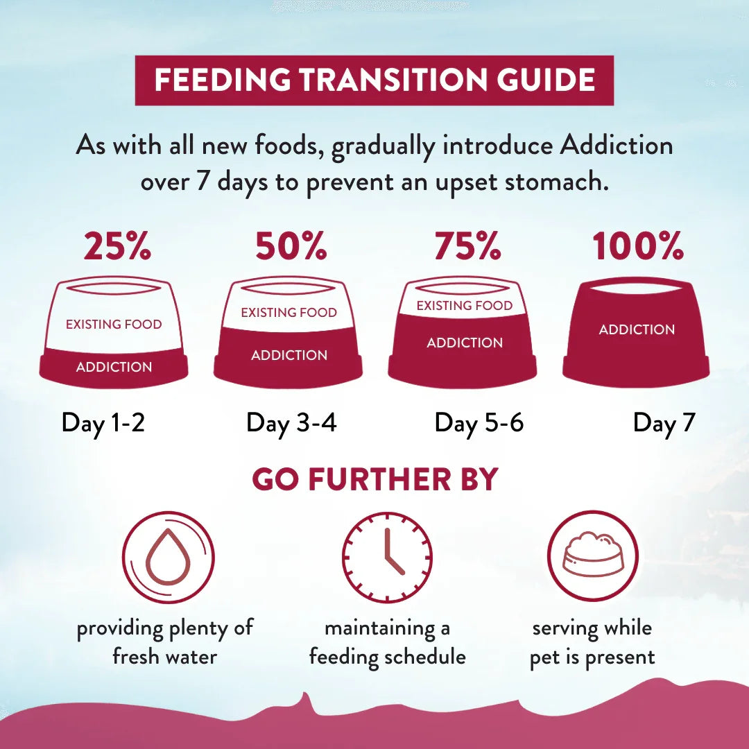 Feeding transition guide diagram for switching dog food over 7 days