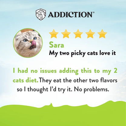 Viva La Venison dry cat food review card with Addiction logo, 5 stars, cat photo.