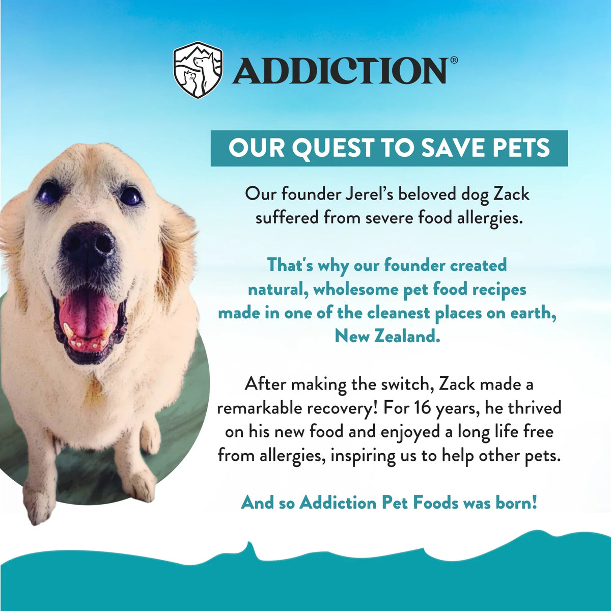 ADDICTION promotional graphic with dog and quest-to-save-pets message