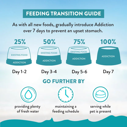 Dry cat food feeding transition guide: gradually introduce over 7 days