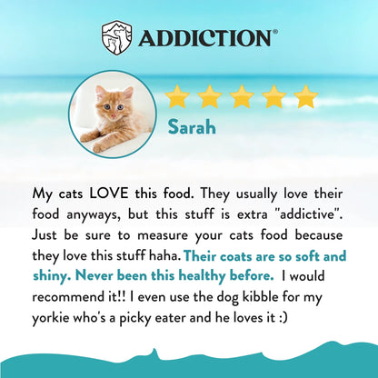 Dry cat food customer review with rating stars and cat photo; Sarah recommends the food