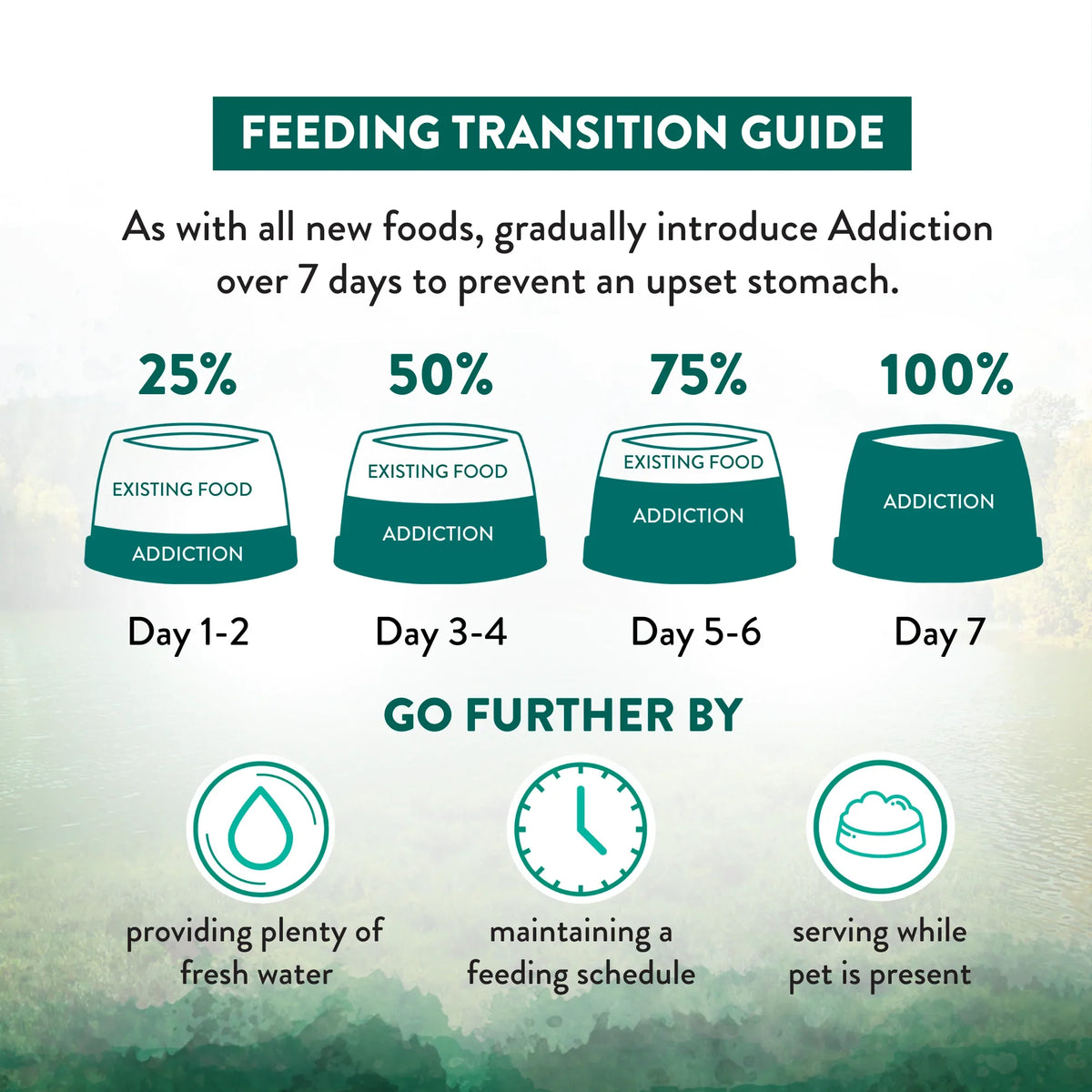 Wild Islands dry cat food feeding transition guide: gradual mix from day 1 to 7