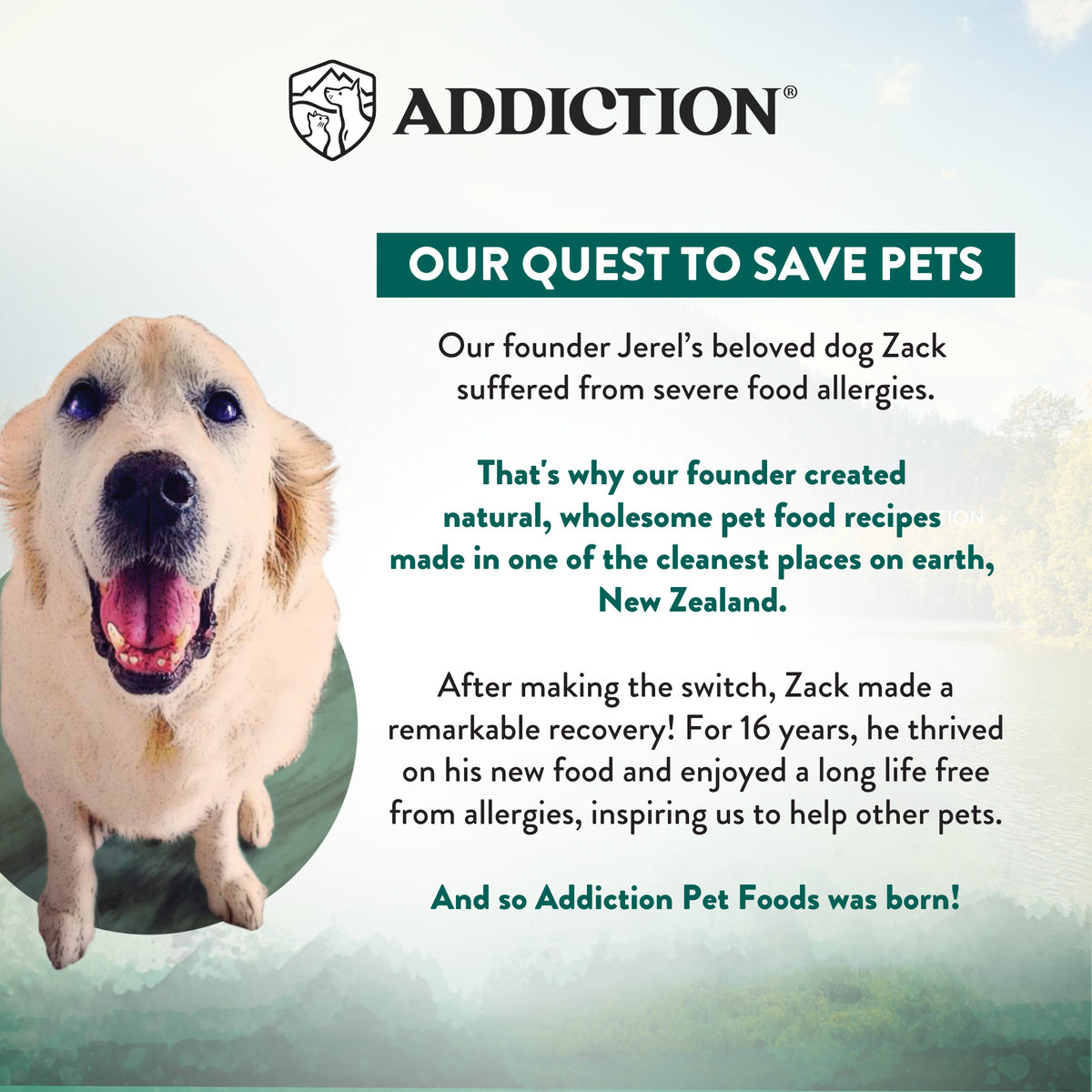 Addiction brand story label: our quest to save pets