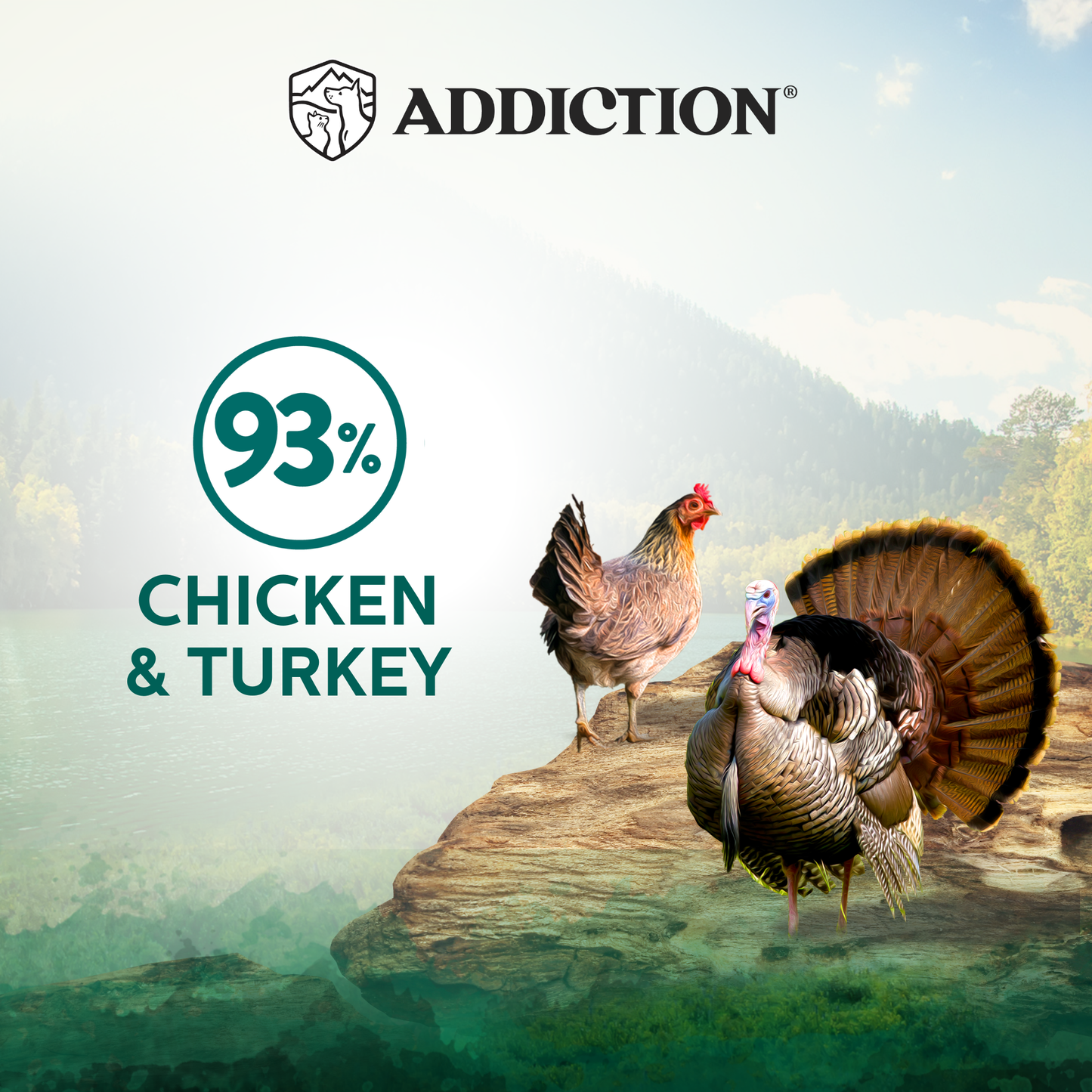 ADDlCTION canned cat food, 93% chicken and turkey flavor can for cats with gold lid