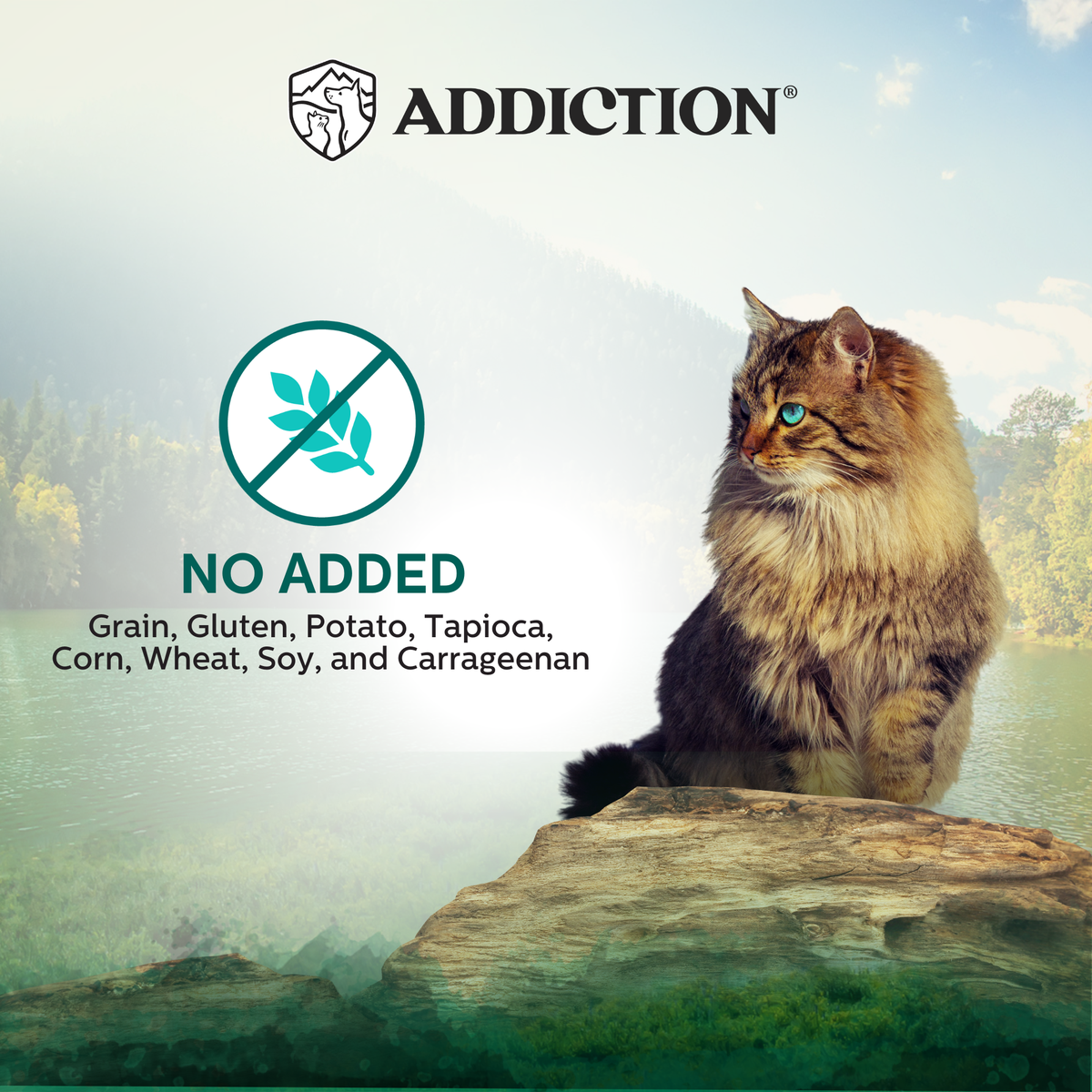 Addiction Island Birds label: no added grain, gluten, potato, tapioca, corn, wheat