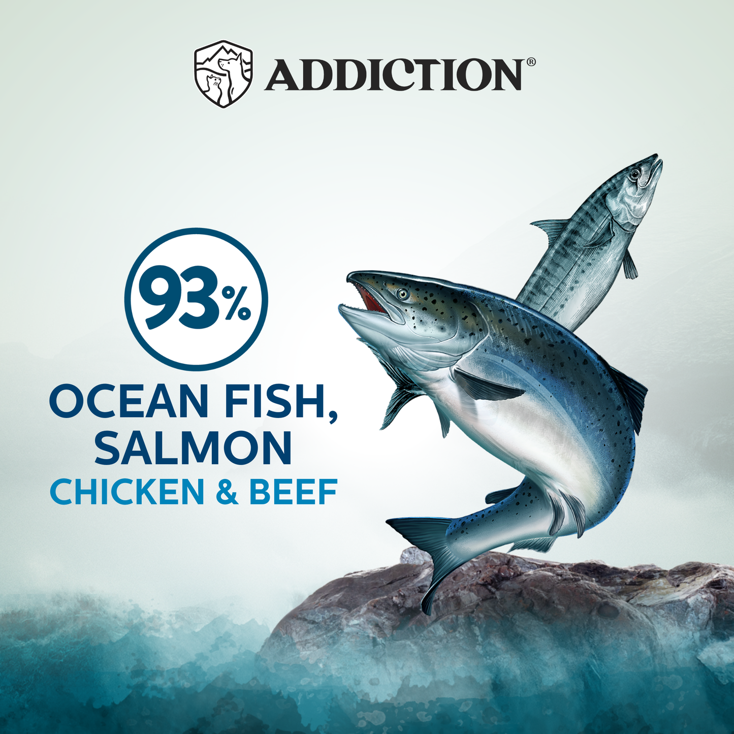 ADDlCTION canned cat food, Ocean Fish Salmon Chicken & Beef flavor can for cats